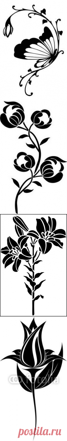 (81) Pinterest