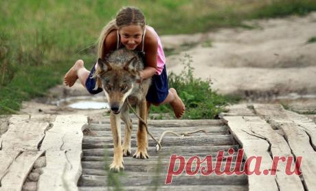 Лучшие фотографии животных со всего мира за неделю / Питомцы