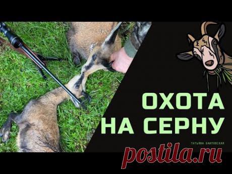 Горная охота в Австрии на Серну. Осечка при неожиданном выстреле. Сложности охоты,  есть трофей.