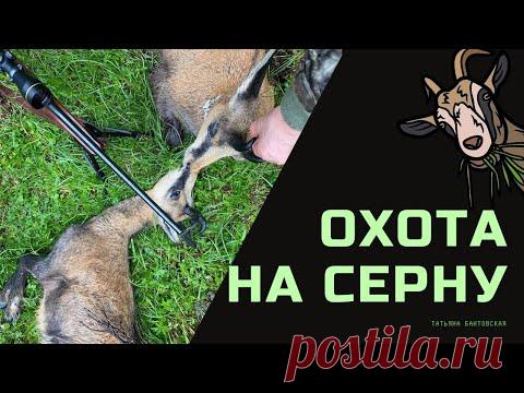 Горная охота в Австрии на Серну. Осечка при неожиданном выстреле. Сложности охоты,  есть трофей.