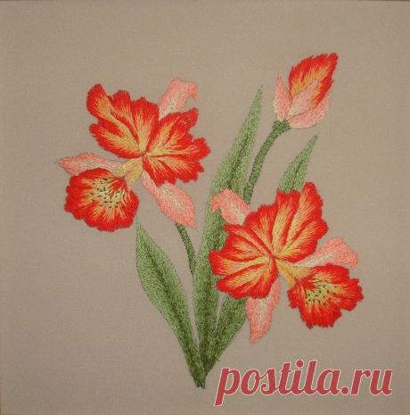 Яндекс.Фотки