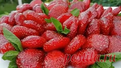 Цукаты из клубники: невероятно красиво и фантастически вкусно - Будет вкусно - 9 июня - 43762112426 - Медиаплатформа МирТесен Тот, кто считает, что вид продукта не важен, а имеет значение исключительно вкус, просто никогда не видел цукаты из клубники! Этот тот случай, когда и вкус, и фантастический вид друг другу соответствуют и вызывают двойной восторг. Делается такая красота, конечно, не за пять минут, но результат в - 9 июня - 43762112426 - Медиаплатформа МирТесен