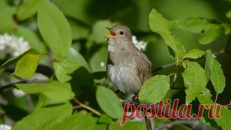 С добрым утром! 😘