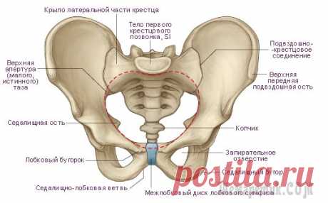 Сколиоз - приговор или есть решение?