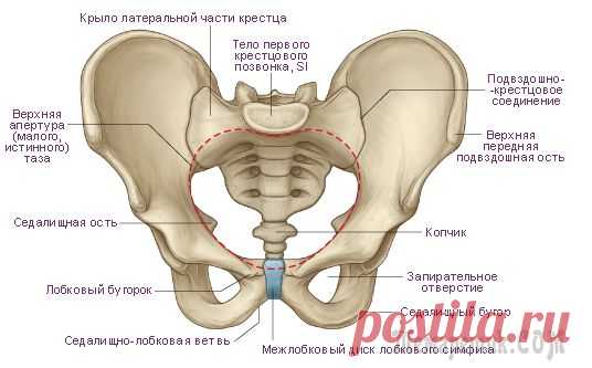 Сколиоз - приговор или есть решение?
