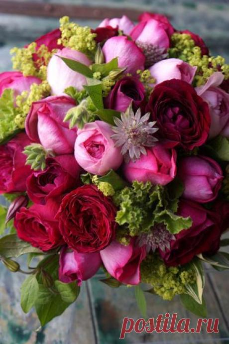 Найдено на сайте hamaflorist.co.jp.