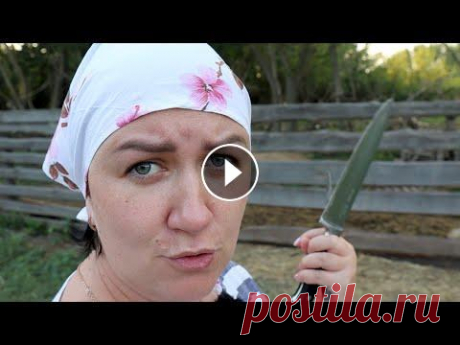 РАЗЖИРЕЛА И ОСТАЛАСЬ ОДНА!!!! РАЗЖИРЕЛА И ОСТАЛАСЬ ОДНА!!!!...