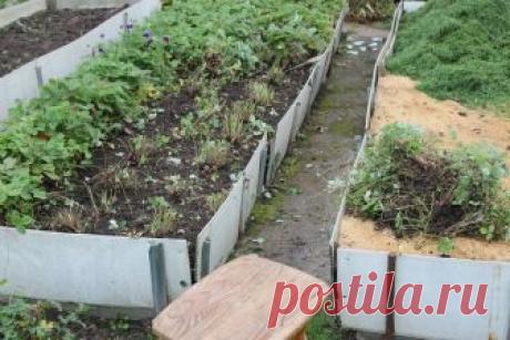 Безжалостная обрезка земляники. | Есть время под солнцем | Яндекс Дзен