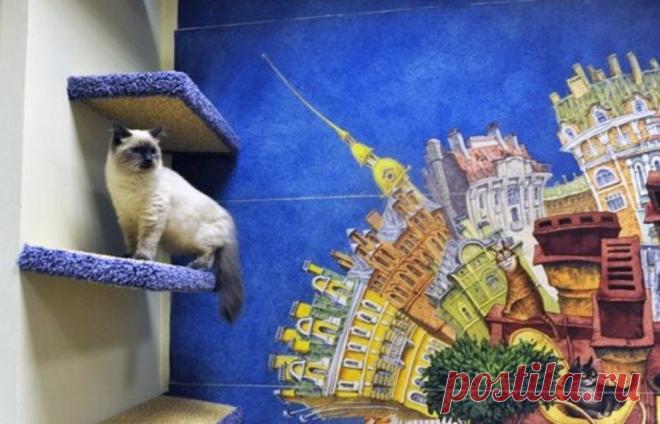 Кафе и музей «Республика кошек» Санкт-Петербург.

Причудливое место, объединяющее в себе арт-кафе, музей, выставочное пространство, клуб и непосредственно кошек, которое предназначено для встречи и дружеского общения животных и человека.

>>>>>>>