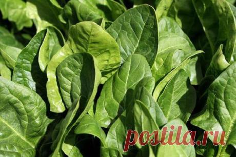 20 Суперпродуктов для тех, кому за 50