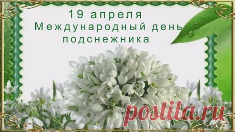 19 апреля Всемирный День подснежника..