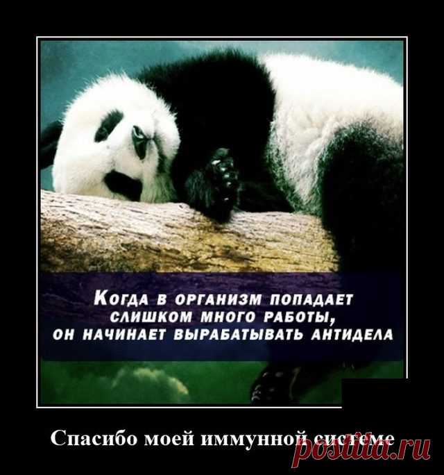Демотиваторы дня. Шикардятина! / Писец - приколы интернета