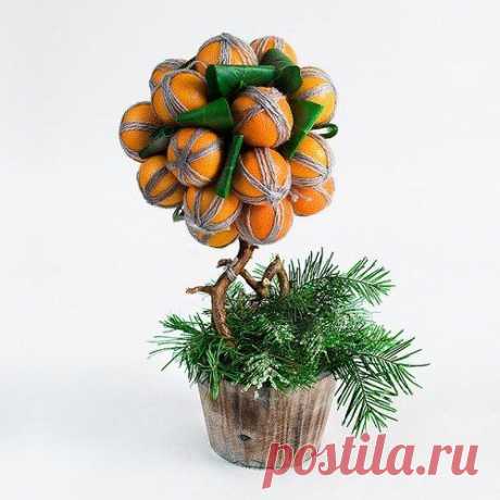 Мандариновое дерево своими руками. - Топиарий