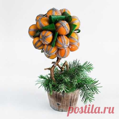 Мандариновое дерево своими руками. - Топиарий
