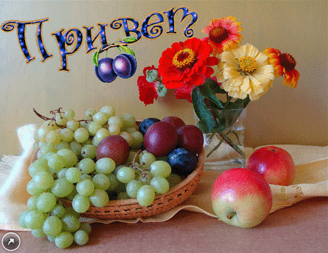 0_131d42_8a12f841_GIForig.gif (1024×790)