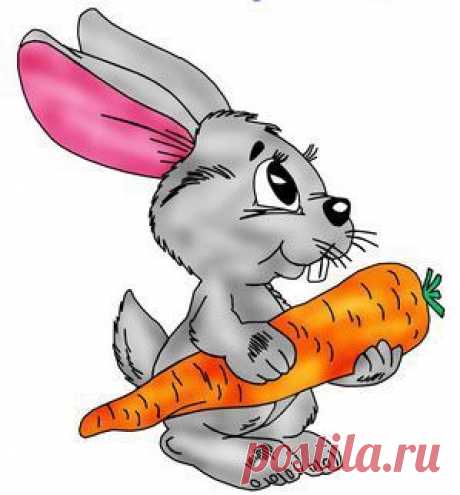 ПОДБОРКА из 34 ЗАГАДОК ДЛЯ ДЕТЕЙ 3Х - 4Х ЛЕТ
