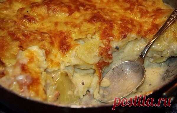 Картофель дофине 

Вам потребуется: 

1 кг картофеля 
1 яйцо 
1 стакан молока 
200 г твёрдого сыра 
зубчик чеснока 
50 г сливочного масла 
чёрный молотый перец 
приправы по вкусу 

Приготовление: 

Картофель очистить и порезать на кружочки толщиной 2-3 мм. 

Чеснок очистить, разрезать пополам и хорошо натереть им форму для запекания. 

Форму слегка смазать сливочным маслом. 

Нарезанный картофель выложить в форму слоями. 

Сыр натереть на тёрке. 

Три четверти тёртого сыра...