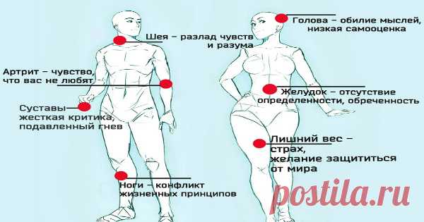 Психосоматика: скажите, что у вас болит, и я отвечу, где у вас проблемы в жизни 
Знаете, что получится, если скрестить медицину и психологию? Удивительная вещь получится, скажу я вам! Психосоматика. Это такое направление в медицине, которое занимается влиянием наших эмоций, страх…