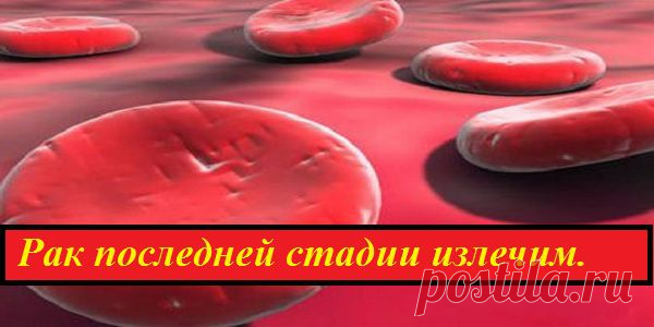 Рак последней стадии излечим. Поделитесь этим! Возможно, кому-то это спасет жизнь! | Узнал сам - расскажи другому.