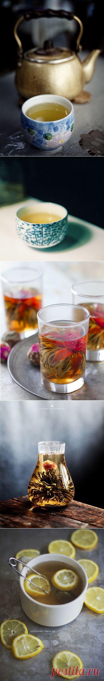 10 неоспоримых доводов раскрывающих всю пользу зелёного чая | ПолонСил.ру - социальная сеть здоровья