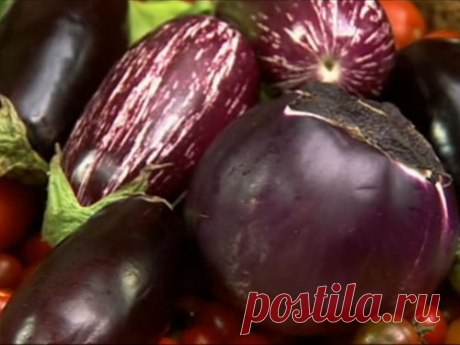 Консервация рецепты от Джейми! | Рецепты Джейми Оливера