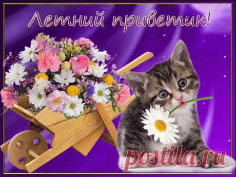 Летний приветик