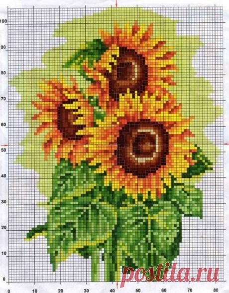 подсолнухи вышивка крестом: 19 тыс изображений найдено в Яндекс.Картинках