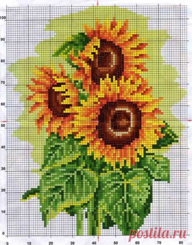 подсолнухи вышивка крестом: 19 тыс изображений найдено в Яндекс.Картинках