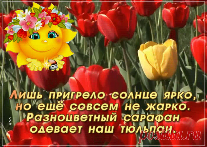 Картинка с тюльпанами со стихами