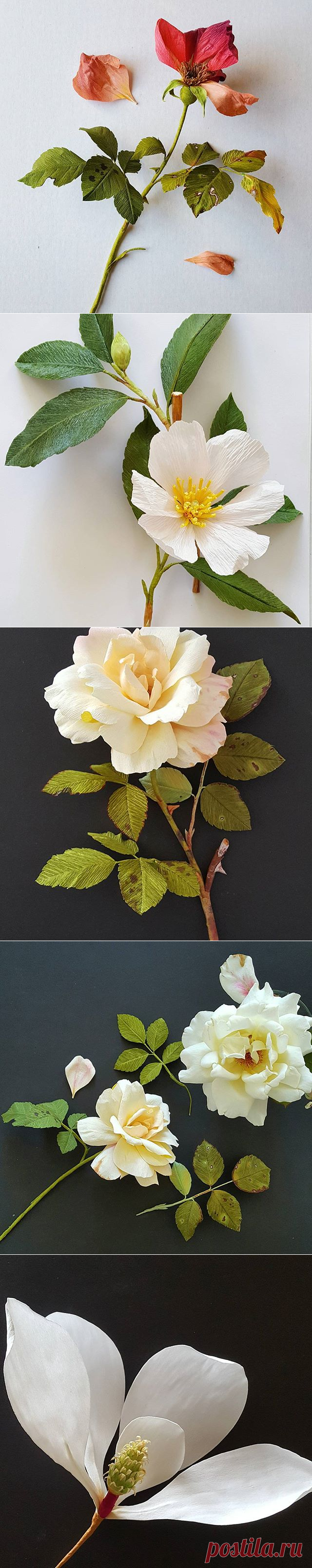 Lynn Dolan (@lmdolan75) • Фото и видео в Instagram