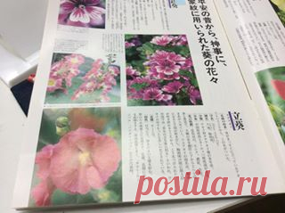 (2) 創花フレールクレール-山田 加津子