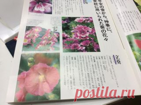(2) 創花フレールクレール-山田 加津子