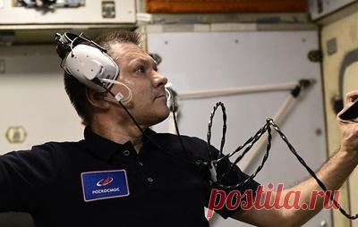 Космонавт-рекордсмен готовится вернуться на Землю. Что надо знать об Олеге Кононенко. Самый опытный из действующих российских космонавтов, командир отряда космонавтов Роскосмоса и специальный корреспондент ТАСС Олег Кононенко 23 сентября возвратится на Землю с Международной космической станции (МКС). Пятая в карьере россиянина орбитальная экспедиция, в ходе которой Кононенко отметился рядом значимых достижений и провел серию уникальных научных экспериментов, в общей сложности продлится больше…