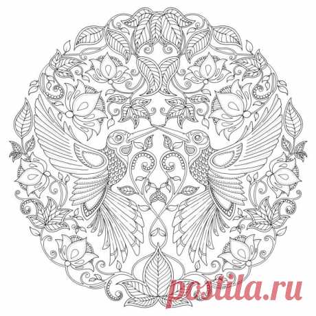 Раскраски для взрослых / Вдохновение / Проявление