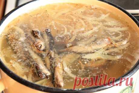 Вы готовите бутерброды со шпротами — А я варю из них суп! Вкусно, бюджетно и очень быстро | Я Готовлю... | Яндекс Дзен