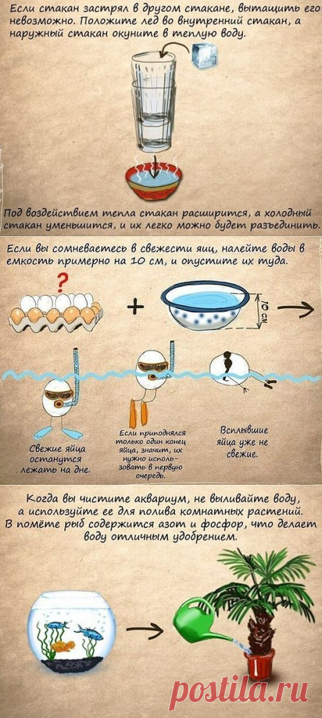 Полезные советы в картинках.