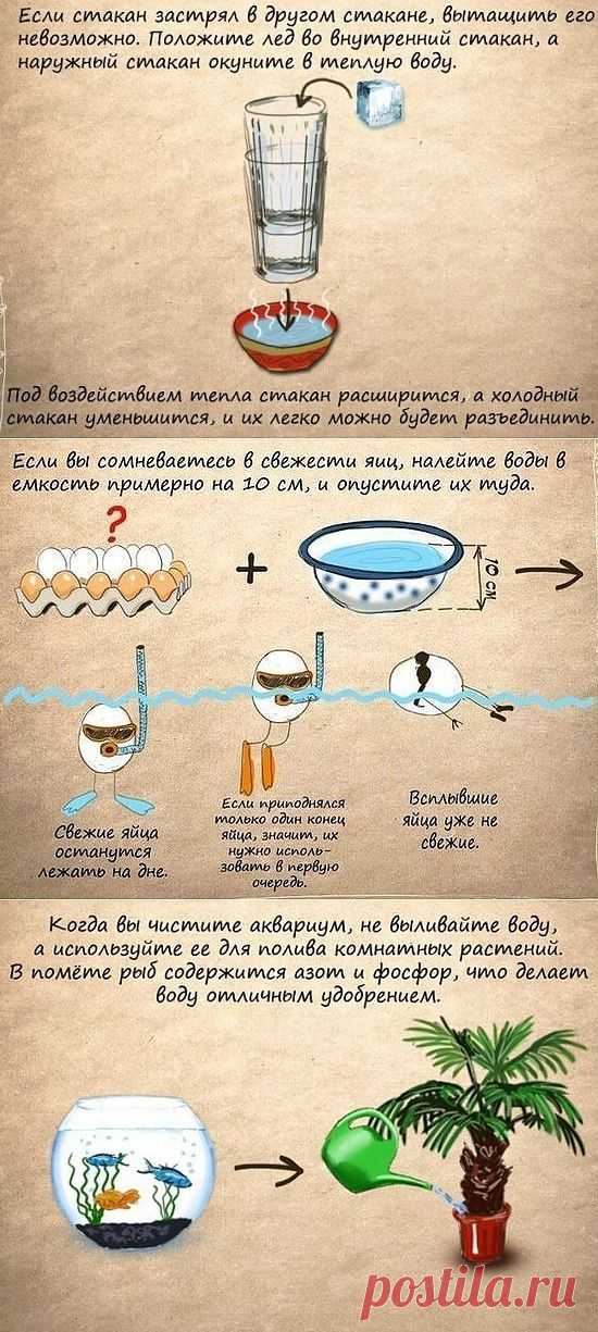 Полезные советы в картинках.