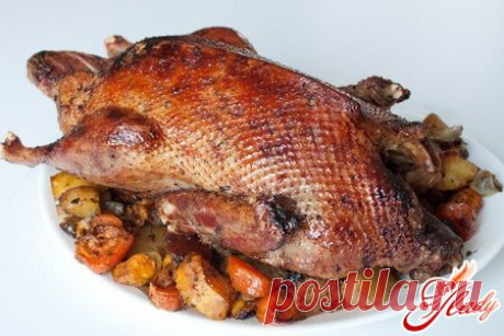 Рецепт утка с гречкой. Новое – забытое старое