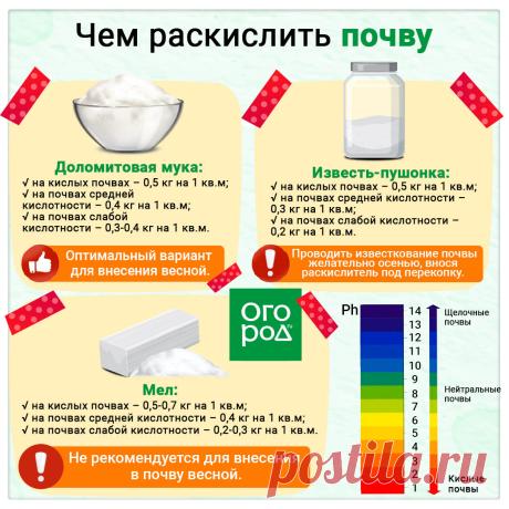 Чем раскислить почву