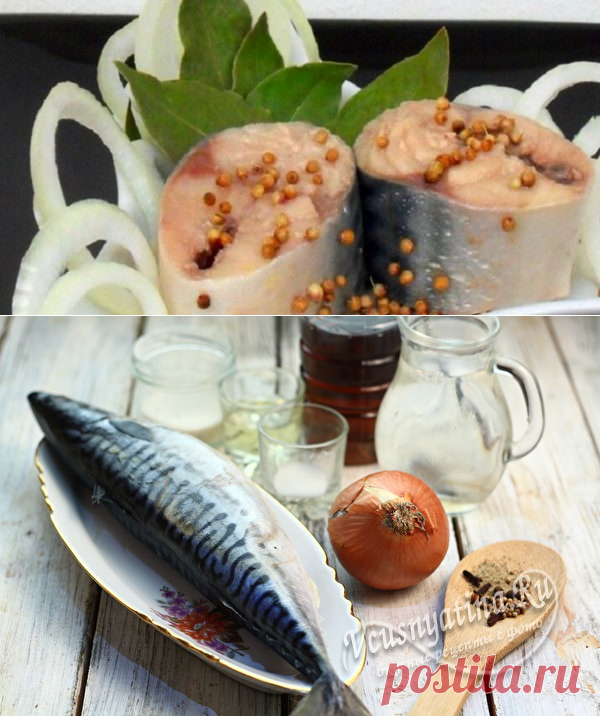 Скумбрия маринованная по-особому, даже вкуснее красной рыбы.