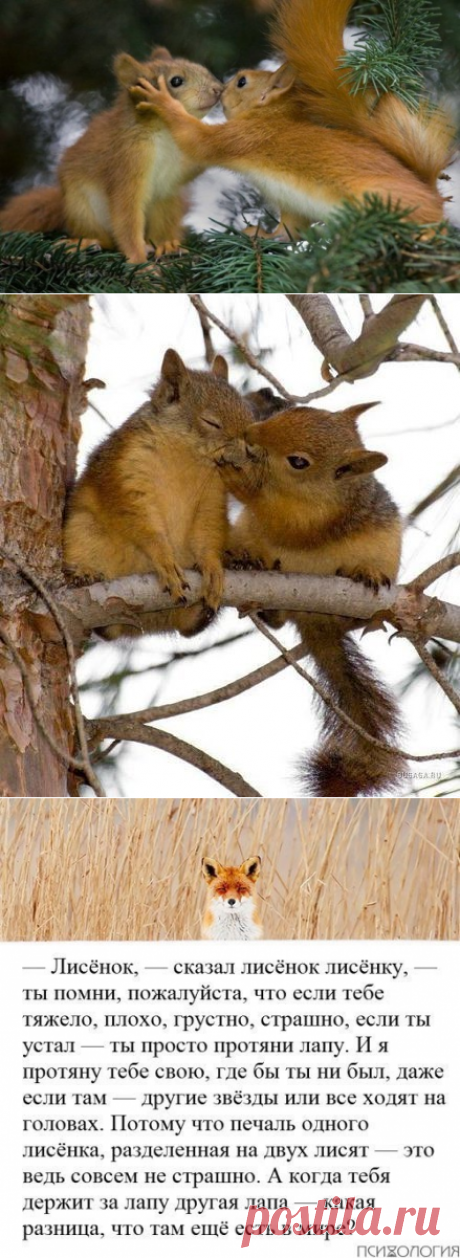 Детские сказки наполнены гораздо большим смыслом, чем кажется.