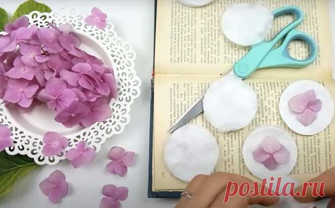 Как засушить цветы для творчества
