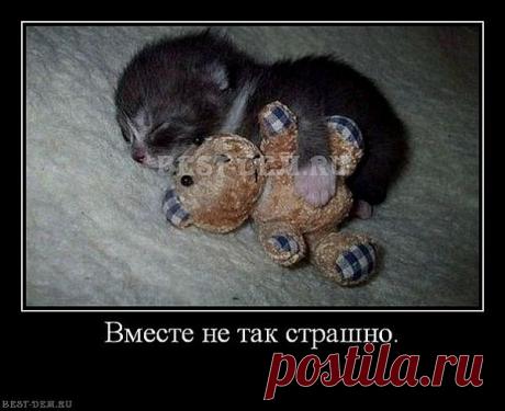 Сладких снов!)))