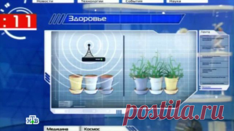 Школьницы доказали вред от излучения Wi-Fi