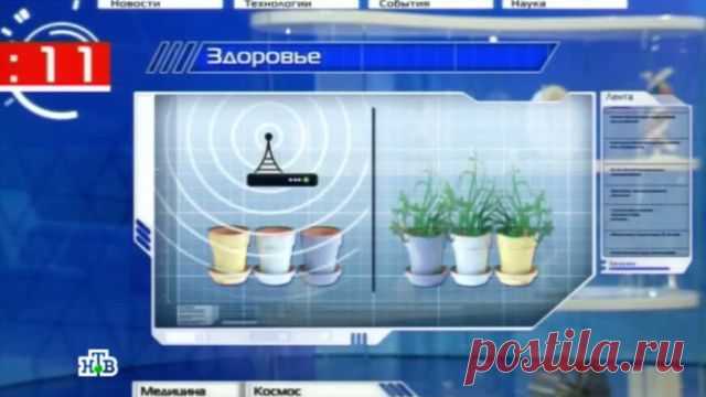 Школьницы доказали вред от излучения Wi-Fi