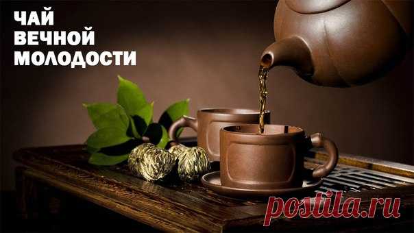 Чай вечной молодости из тибетских трактатов