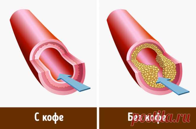 Ученые выяснили, сколько кофе нужно пить в день и почему он полезен для организма