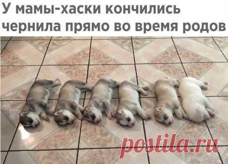 Без комментария