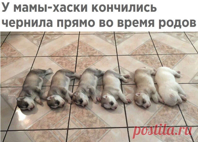 Без комментария