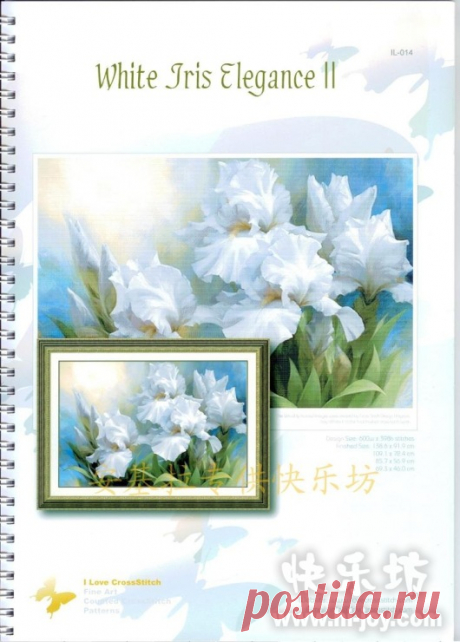 Gallery.ru / Фото #37 - ILCS IL-014 White Iris Elegance II - Azzurro